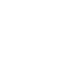 Play Icon